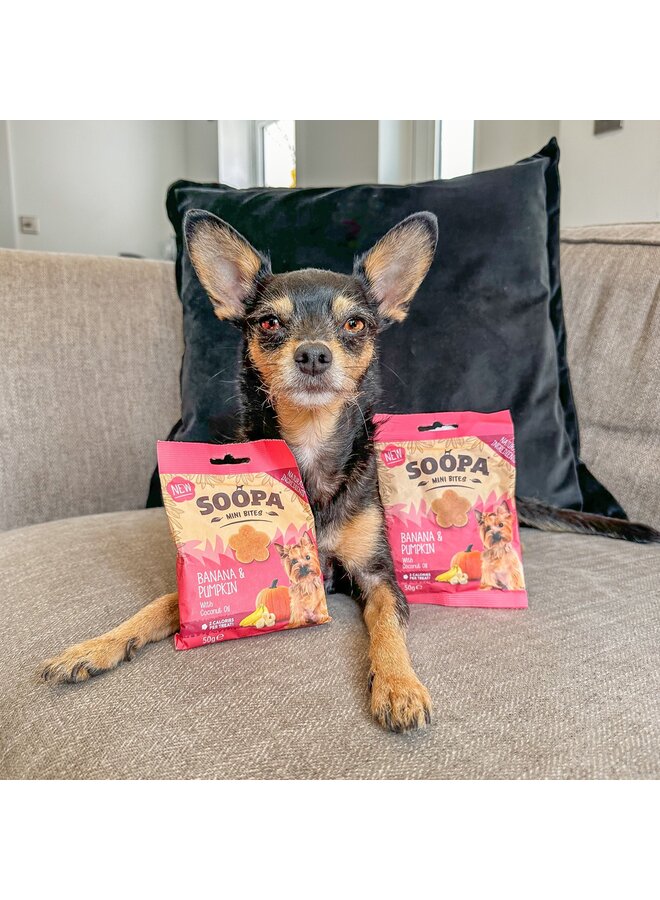 Banana & Pumpkin - Healthy Bites for Mini Dogs