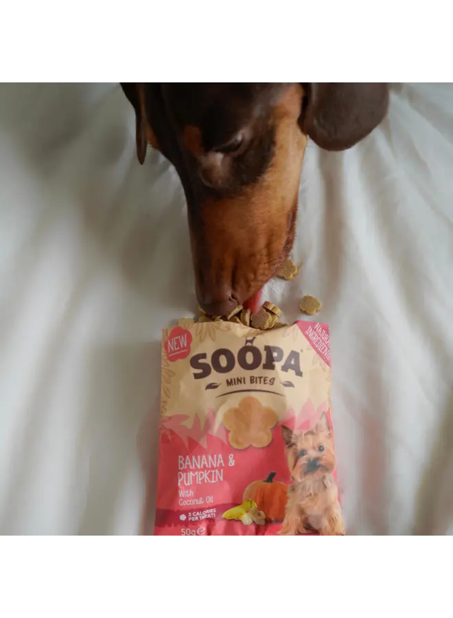 Banana & Pumpkin - Healthy Bites for Mini Dogs