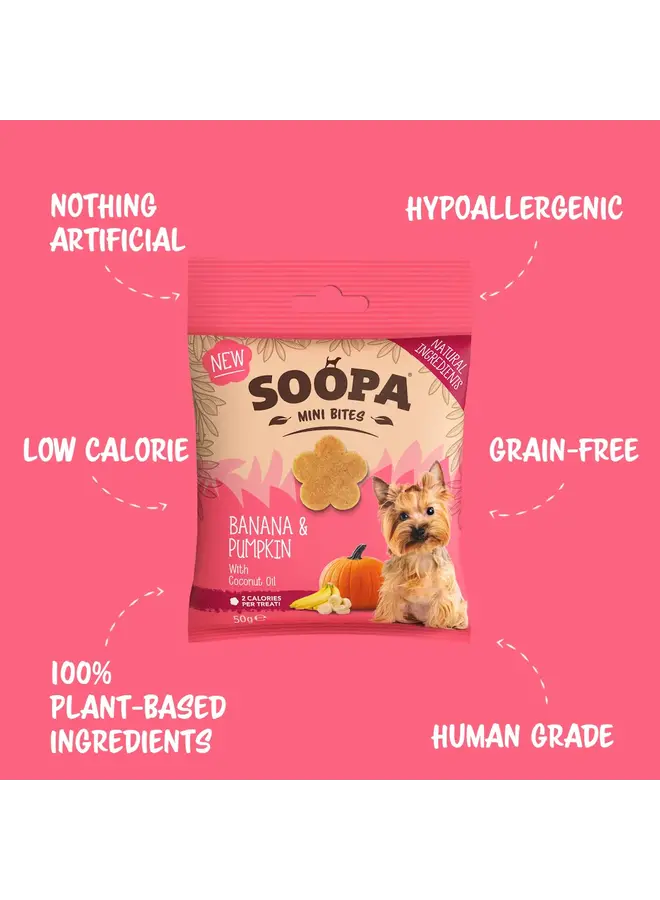 Banana & Pumpkin - Healthy Bites for Mini Dogs