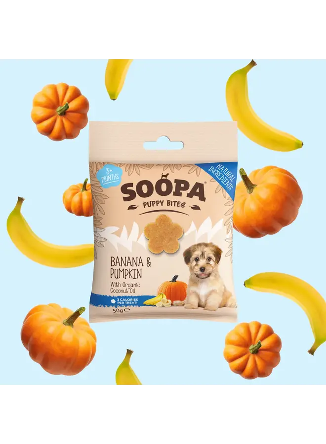 Banana & Pumpkin Healthy Bites for Puppies