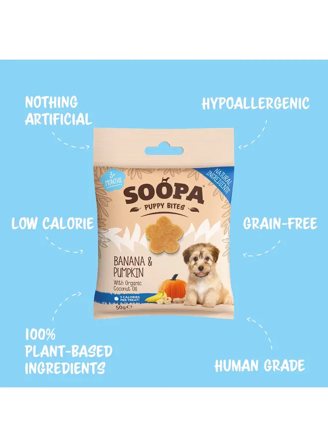 Banana & Pumpkin Healthy  Bites for Puppies