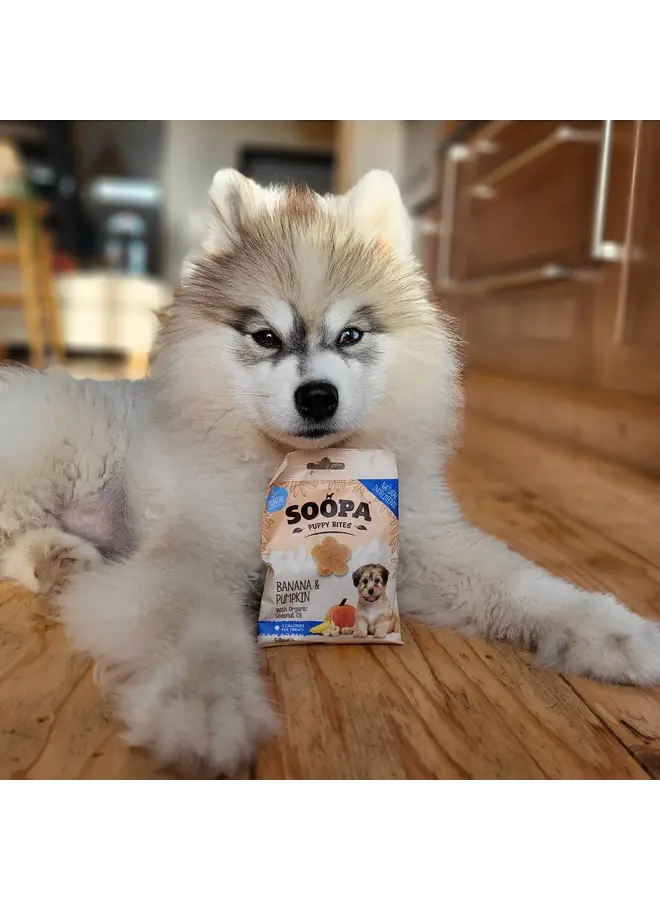 Banana & Pumpkin Healthy  Bites for Puppies