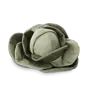 CABBAGE POP - 26 cm