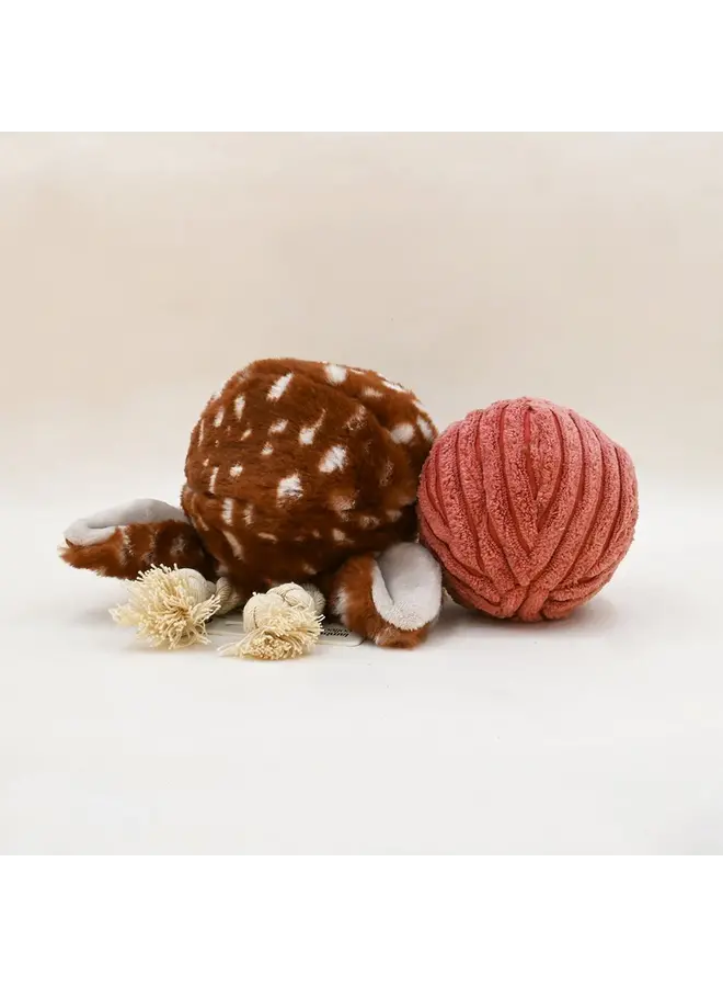 FAWN POP