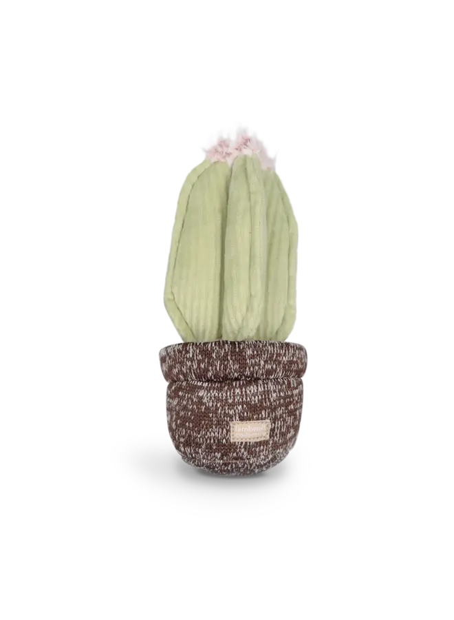 CACTUS SNUFFLE + SQUEAKY