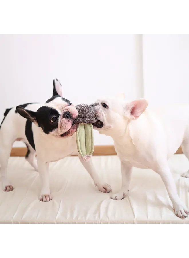 CACTUS SNUFFLE + SQUEAKY