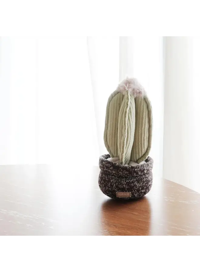 CACTUS SNUFFLE + SQUEAKY