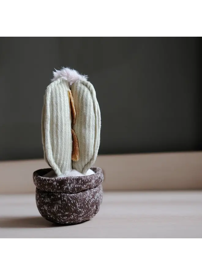 CACTUS SNUFFLE + SQUEAKY