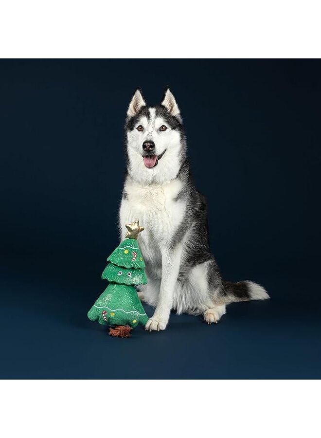 Fir Real Fun Ahead Plush Dog Toy