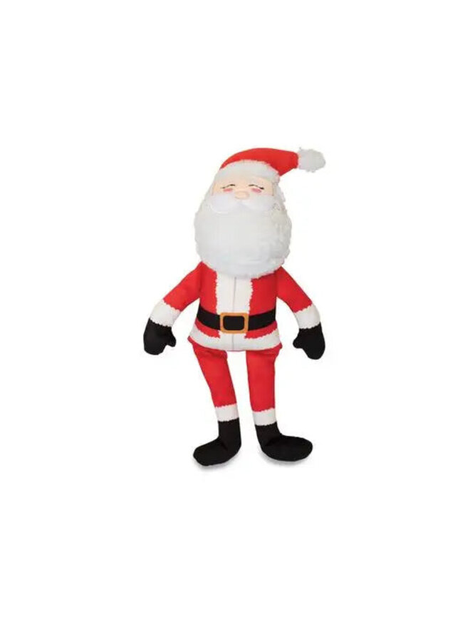 Santa's Back In Town Dog Toy