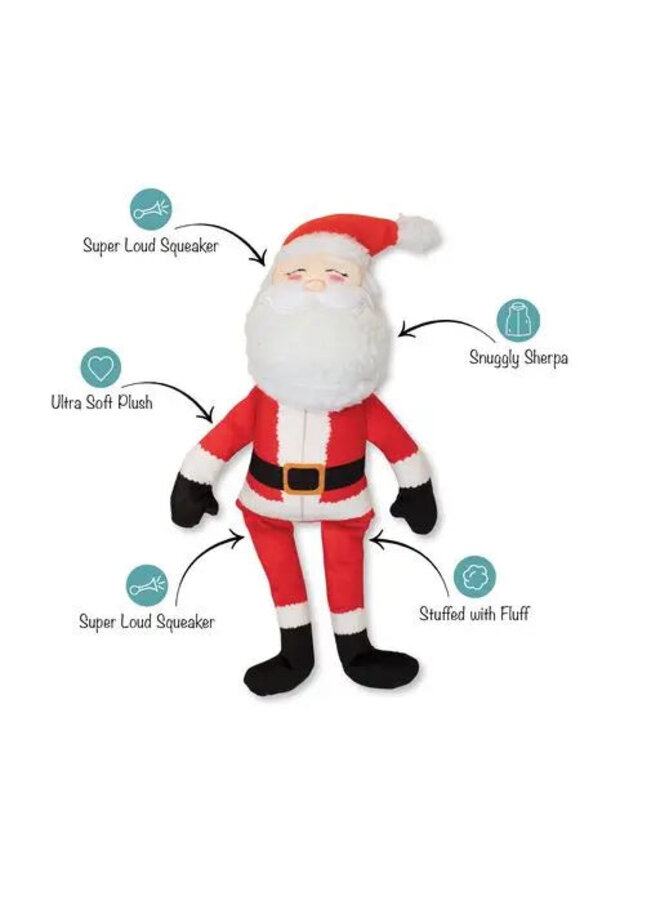 Santa's Back In Town Dog Toy