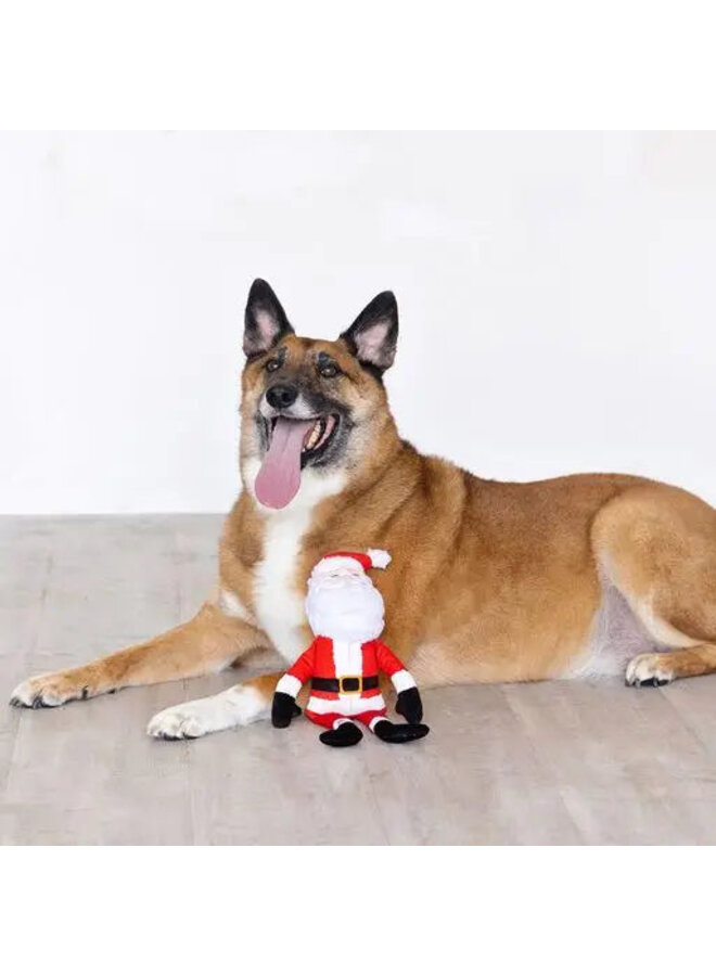 Santa's Back In Town Dog Toy