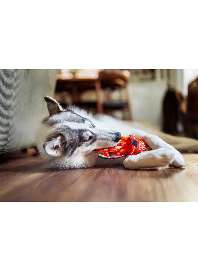 Slurp It Up Interactive Yappy Noodles