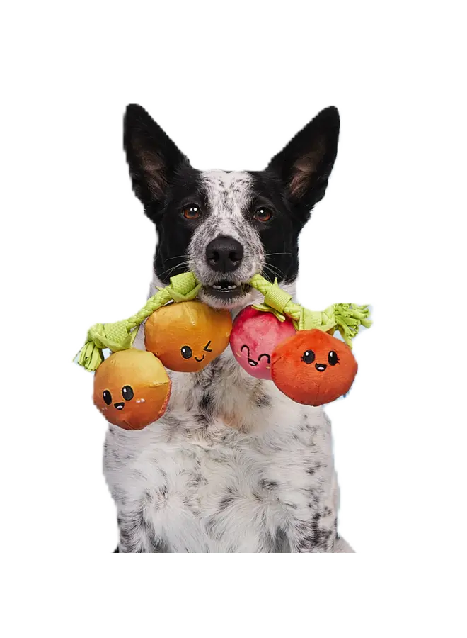 12 Reviews Hairloom Tomatoes Plush Tug Dog Toy