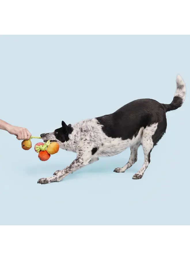 12 Reviews Hairloom Tomatoes Plush Tug Dog Toy