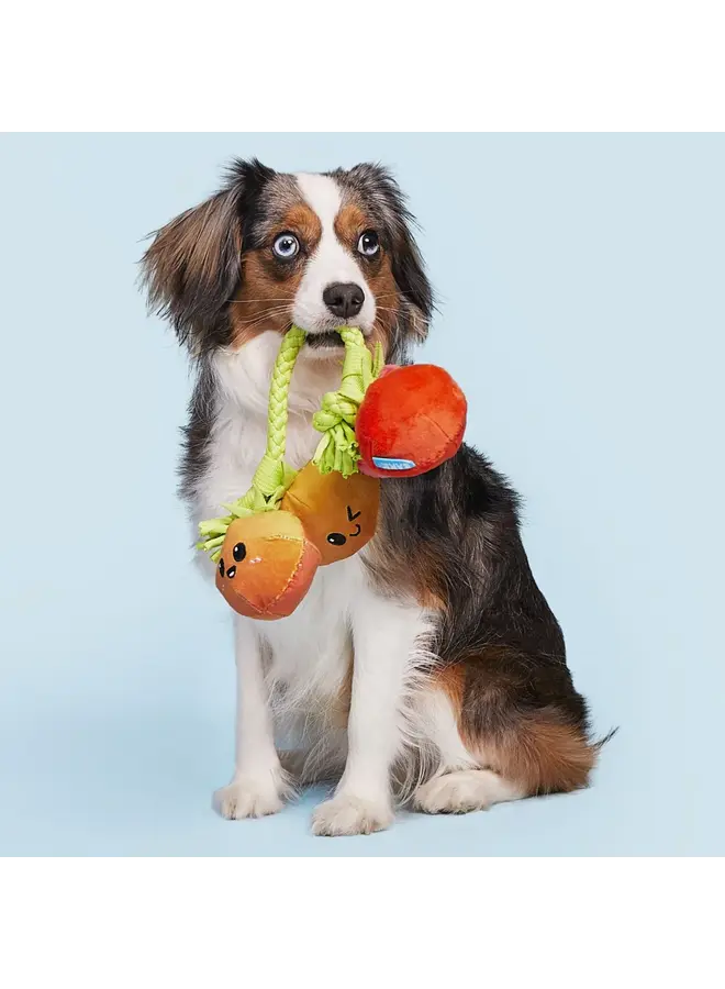 12 Reviews Hairloom Tomatoes Plush Tug Dog Toy