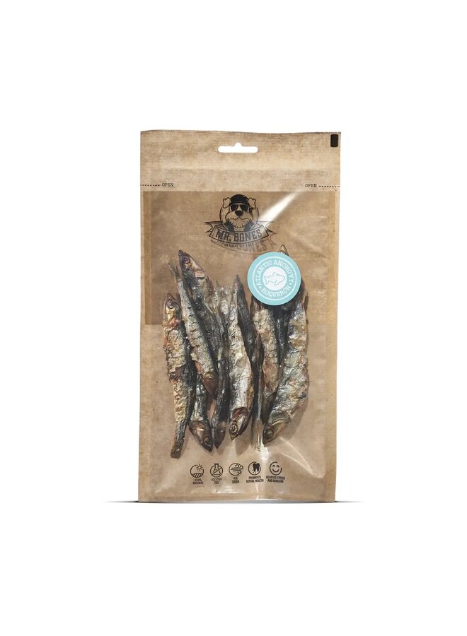 Atlantische ansjovis