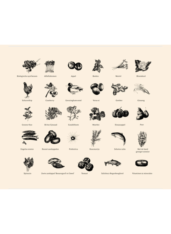 The Beginning Large Breed (puppy grote rassen)