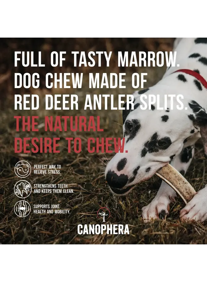 Antler Chews (Splits)