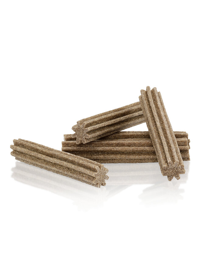 Probiotica & Kaneel Teeth Delights