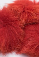 Pompon Groot Rood