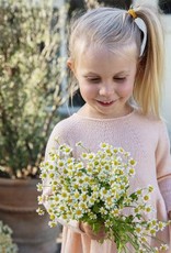 Filcolana Blomestreng kinderkleedje breipakket