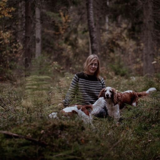 Laine Observations - Lotta H Löthgren UC