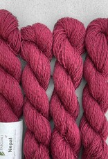 pascuali Pascuali Nepal - Bordeaux 26