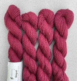 pascuali Pascuali Nepal - Bordeaux 26