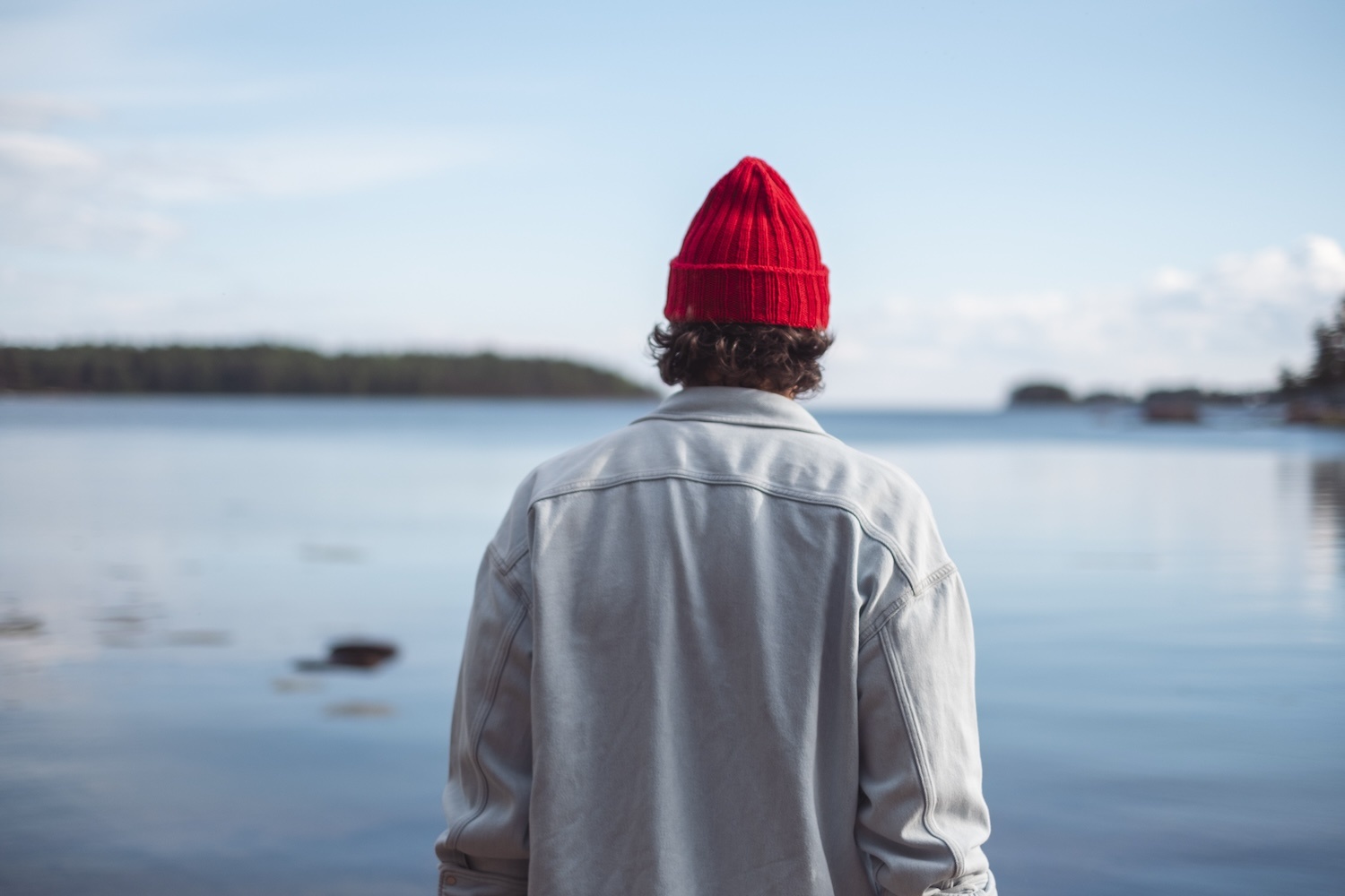 Laine -Knits to Wear - Veronika Lindberg