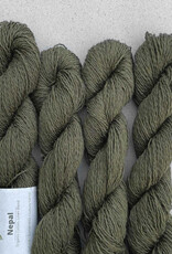 pascuali Pascuali Nepal - Kiwi Peel 09