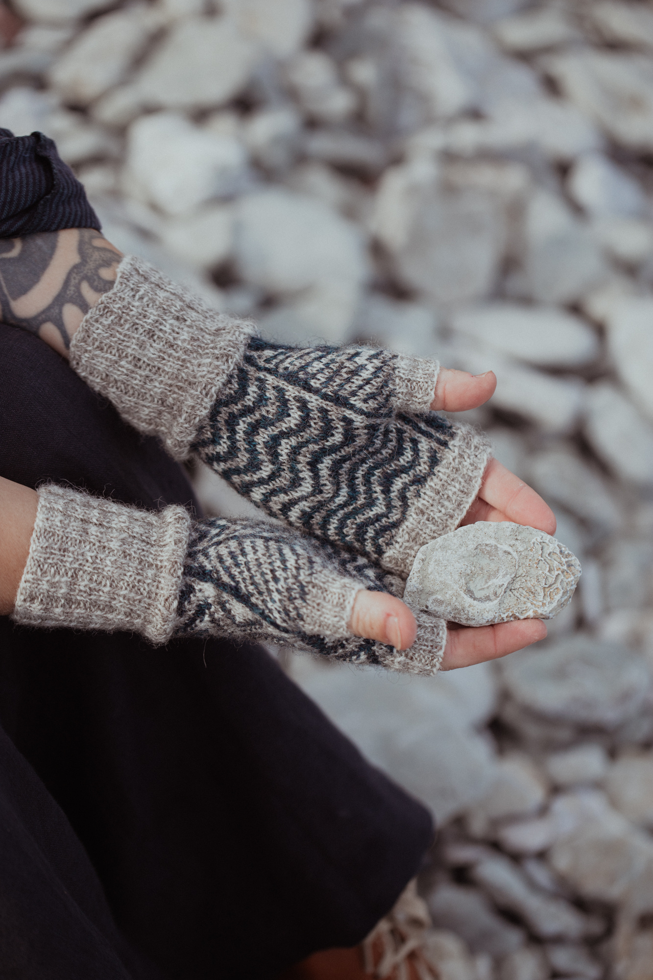 Laine The island and the Forest - Erika Åberg & Lotta H. Löthgren