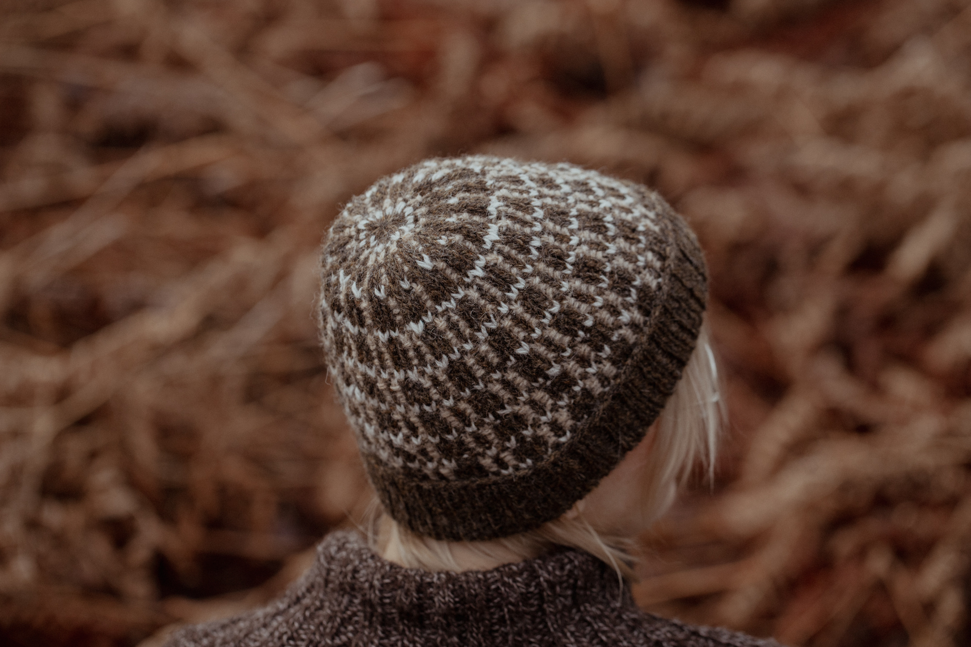 Laine The island and the Forest - Erika Åberg & Lotta H. Löthgren