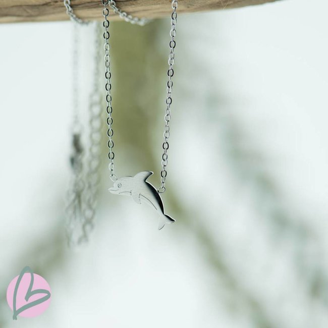 ketting zilver met dolfijn