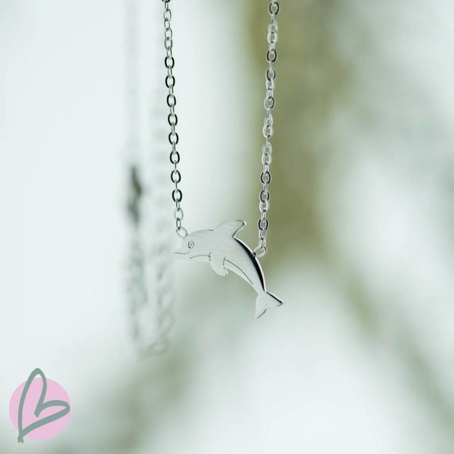 ketting zilver met dolfijn