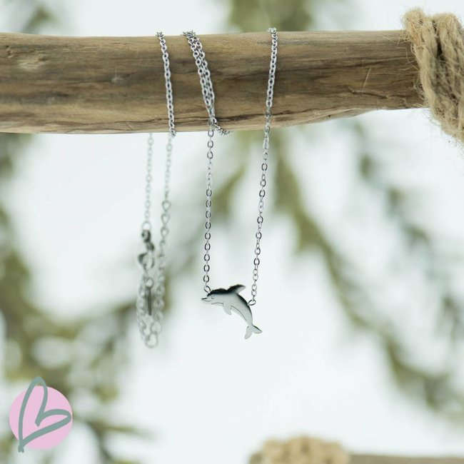 ketting zilver met dolfijn