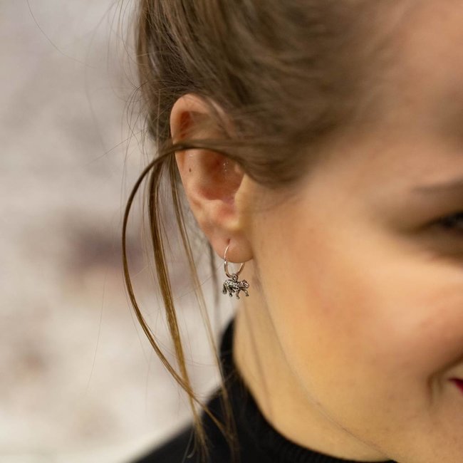 KARMA KARMA zilver oorringen tijger