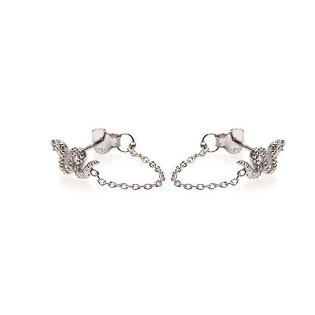 Oorstekers slang zilver met ketting