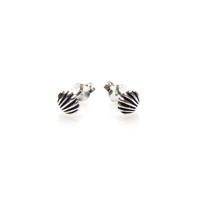 Echt zilver oorbellen met schelp