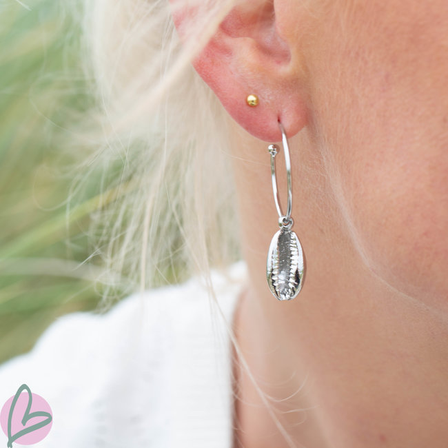 oorbellen met cowrie schelp zilver