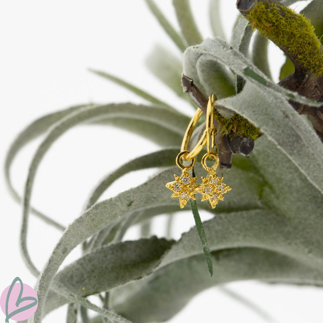 KARMA Oorringen zilver925 met crystal morningstar goud