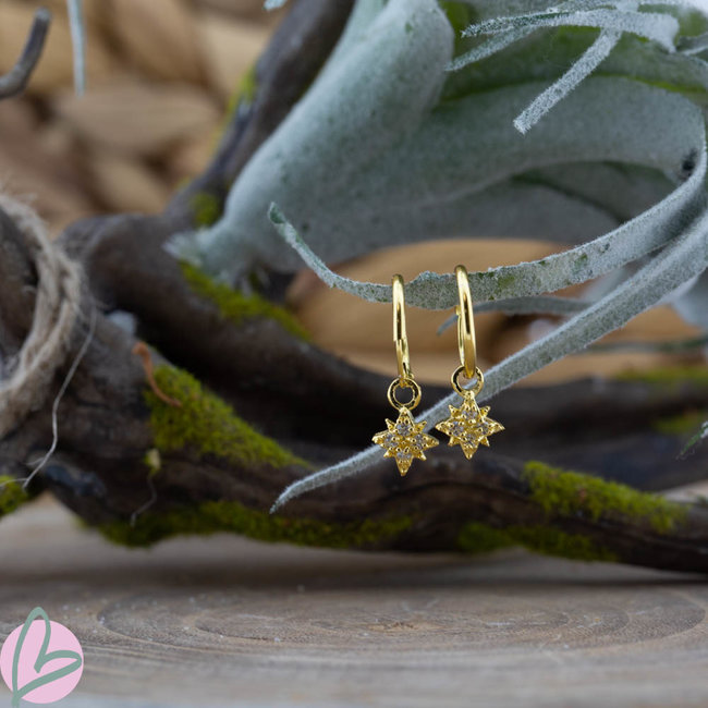 KARMA Oorringen zilver925 met crystal morningstar goud