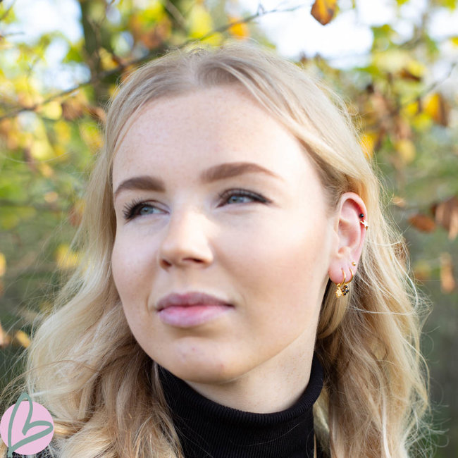 KARMA Oorringen zilver925 met crystal morningstar goud