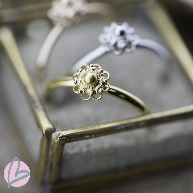 Ixxxi Vulring  met Zeeuwse knop