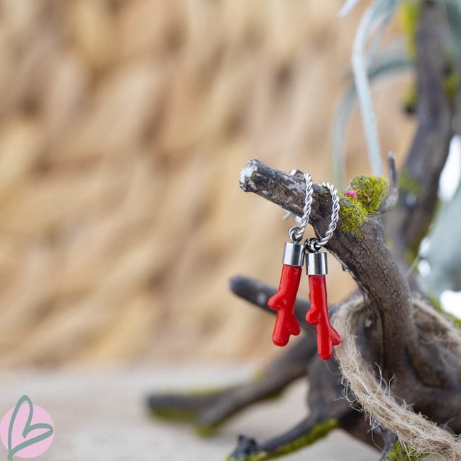 Zilverkleurige hoops met koraal