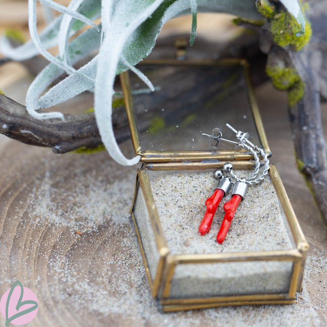 Beadle Zilverkleurige hoops met koraal