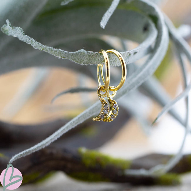 KARMA Karma goud oorringen met crystal steentjes maan