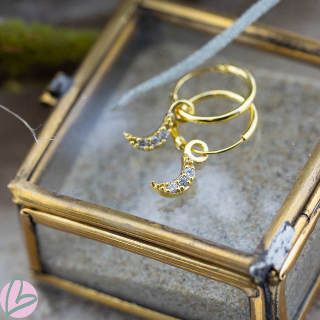 KARMA Karma goud oorringen met crystal steentjes maan