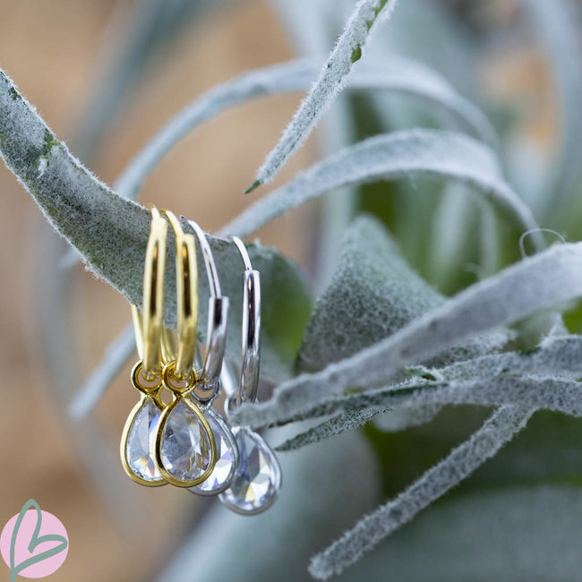 Hoops Symbols  Zirconia Drop Goldplated