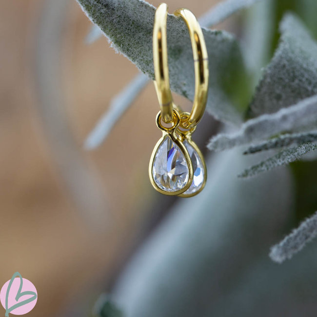 Hoops Symbols  Zirconia Drop Goldplated